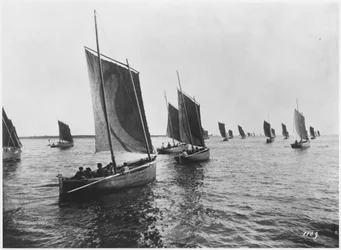 Sardinenboote von Concarneau